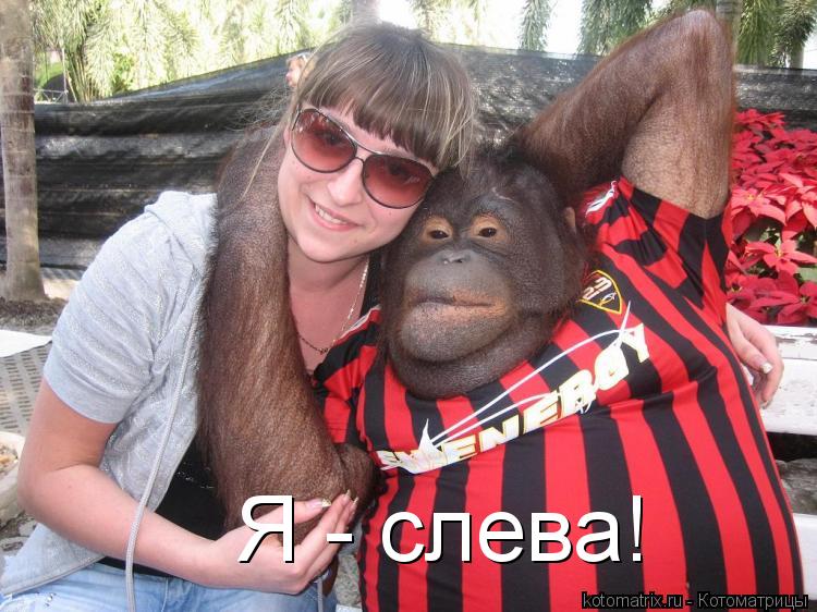 Я - слева!... Котоматрица: Я - слева!
