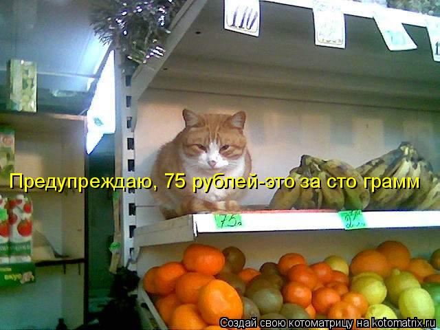Предупреждаю, 75 рублей-это за сто грамм... Котоматрица: Предупреждаю, 75 рублей-это за сто грамм