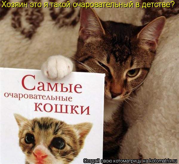 Хозяин это я такой очаровательный в детстве?... Котоматрица: Хозяин это я такой очаровательный в детстве?