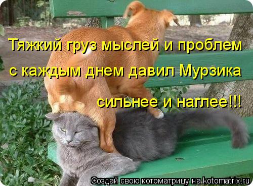 Тяжкий груз мыслей и проблем с каждым днем давил Мурзика сильнее и наглее!!!... Котоматрица: Тяжкий груз мыслей и проблем с каждым днем давил Мурзика сильнее и наглее!!!