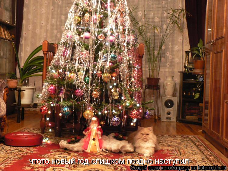 чтото новый год слишком поздно наступил... Котоматрица: чтото новый год слишком поздно наступил