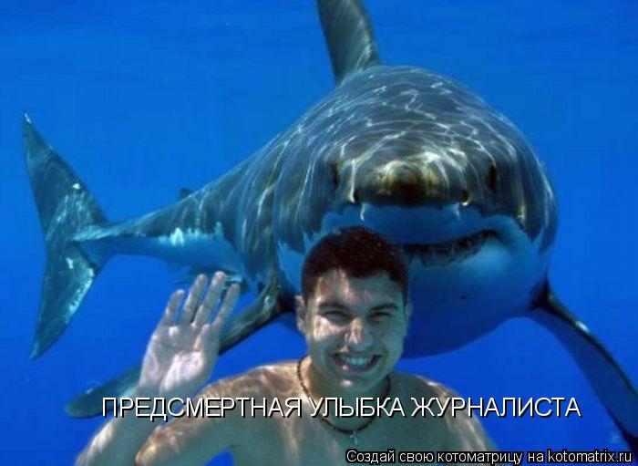 ПРЕДСМЕРТНАЯ УЛЫБКА ЖУРНАЛИСТА... Котоматрица: ПРЕДСМЕРТНАЯ УЛЫБКА ЖУРНАЛИСТА
