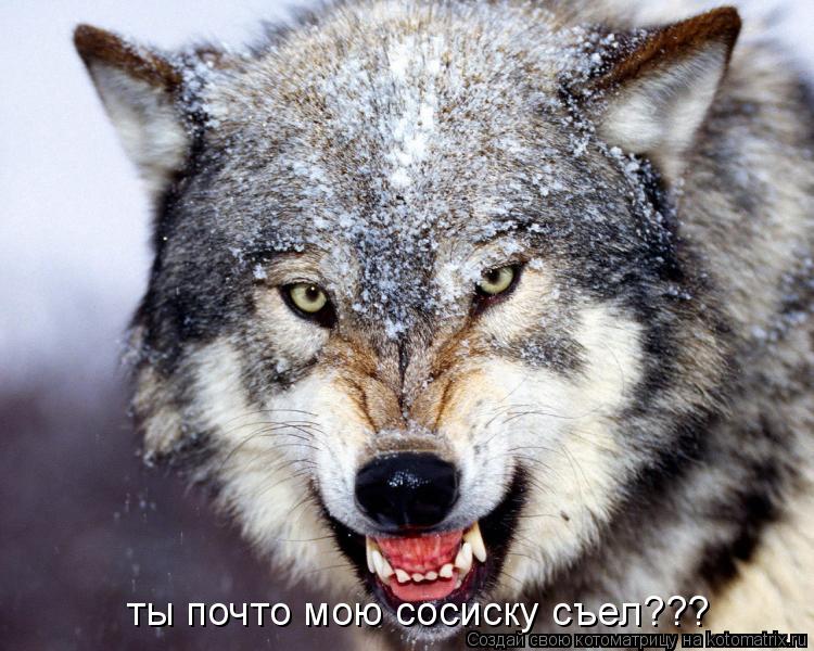 ты почто мою сосиску съел???... Котоматрица: ты почто мою сосиску съел???