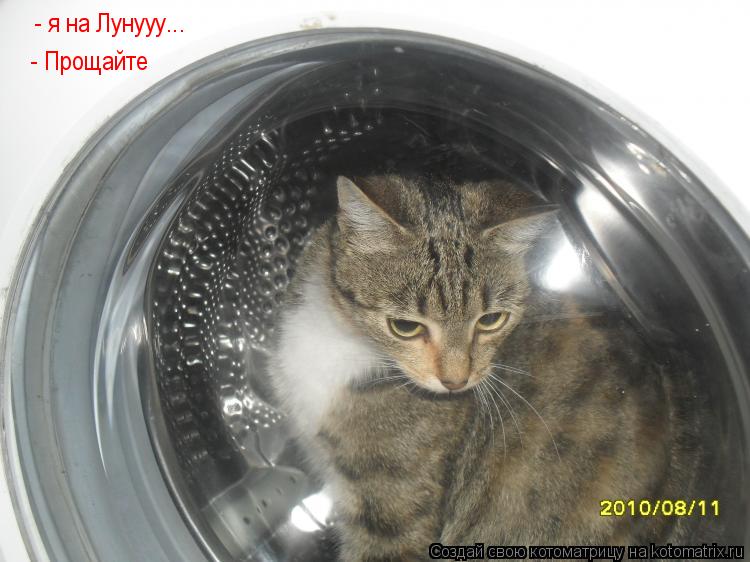 - я на Лунууу... - Прощайте... Котоматрица: - я на Лунууу... - Прощайте