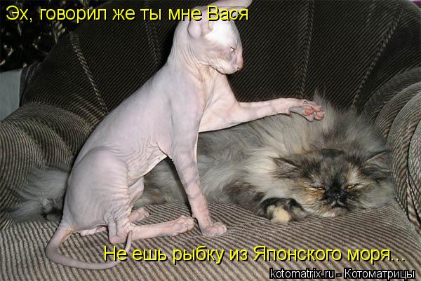 Эх, говорил же ты мне Вася Не ешь рыбку из Японского моря...... Котоматрица: Эх, говорил же ты мне Вася Не ешь рыбку из Японского моря...