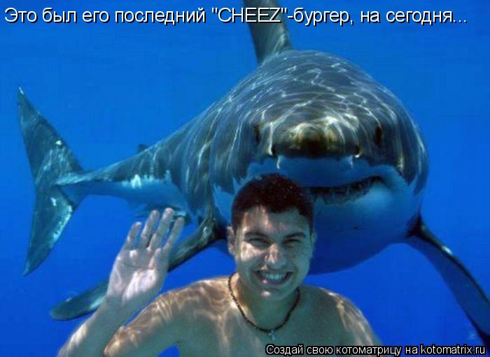 Это был его последний "CHEEZ"-бургер, на сегодня...... Котоматрица: Это был его последний "CHEEZ"-бургер, на сегодня...