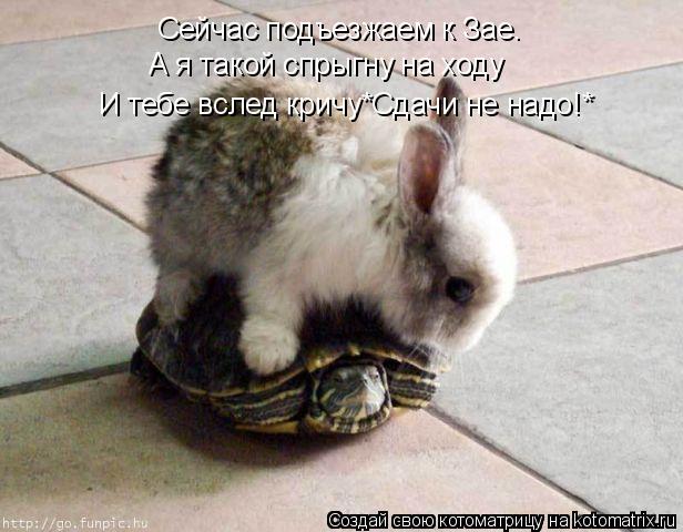 Сейчас подъезжаем к Зае. А я такой спрыгну на ходу И тебе вслед кричу*Сдачи не надо!*... Котоматрица: Сейчас подъезжаем к Зае. А я такой спрыгну на ходу И тебе вслед кричу*Сдачи не надо!*