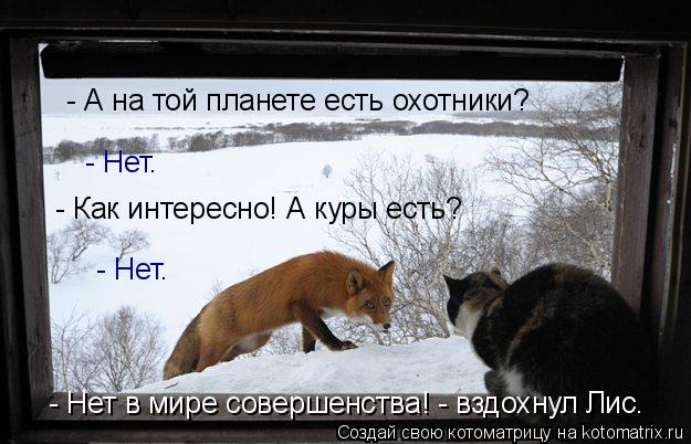 - Нет в мире совершенства! - вздохнул Лис. - Нет. - А на той планете есть охотники? - Нет. - Как и... Котоматрица: - Нет в мире совершенства! - вздохнул Лис. - Нет. - А на той планете есть охотники? - Нет. - Как интересно! А куры есть?