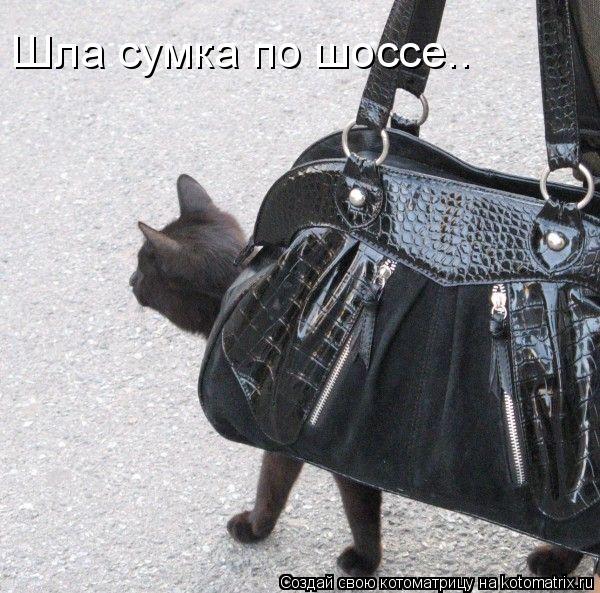 Шла сумка по шоссе..... Котоматрица: Шла сумка по шоссе..