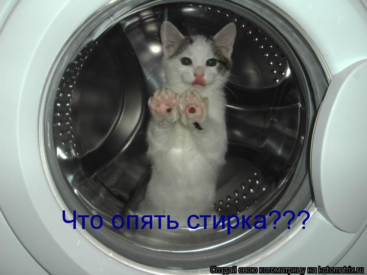 Что опять стирка???... Котоматрица: Что опять стирка???