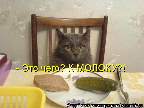 - Это чего? К МОЛОКУ?!... Котоматрица: - Это чего? К МОЛОКУ?!