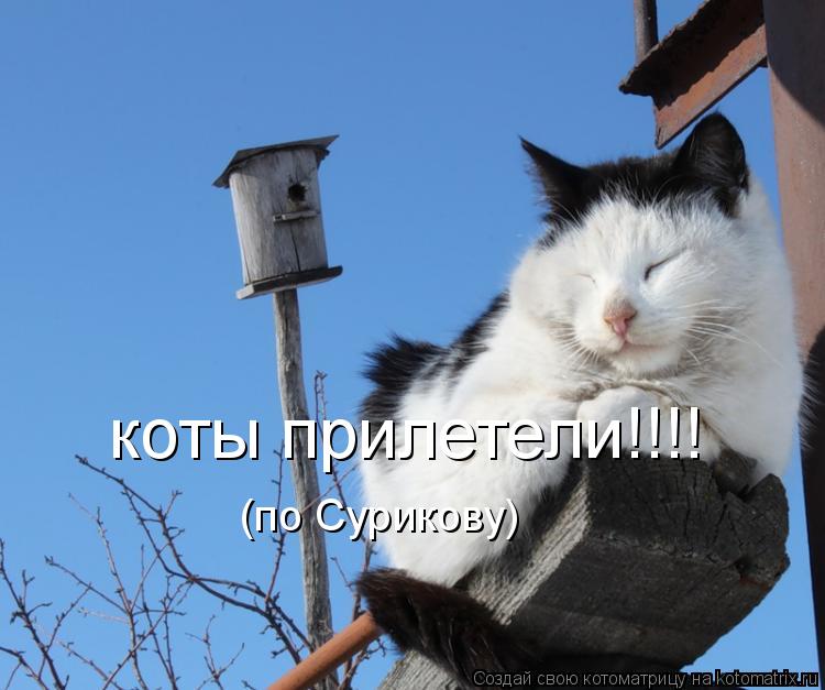 коты прилетели!!!! (по Сурикову)... Котоматрица: коты прилетели!!!! (по Сурикову)