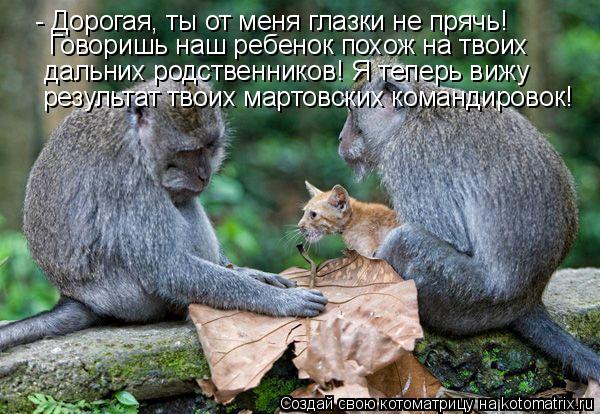 - Дорогая, ты от меня глазки не прячь! дальних родственников! Я теперь вижу результат твоих мартовск... Котоматрица: - Дорогая, ты от меня глазки не прячь! дальних родственников! Я теперь вижу результат твоих мартовских командировок! Говоришь наш ребенок п