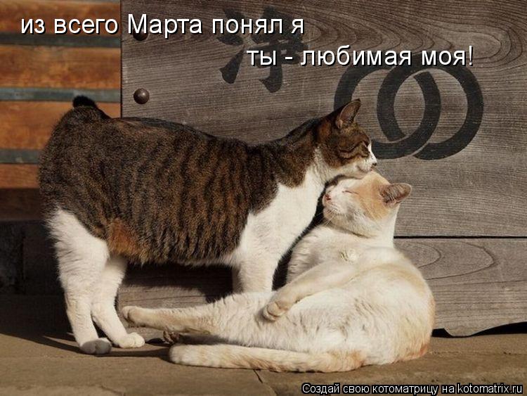 из всего Марта понял я ты - любимая моя!... Котоматрица: из всего Марта понял я ты - любимая моя!