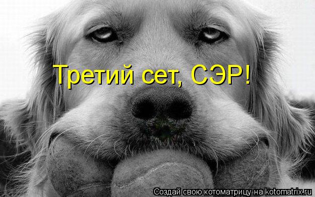 Третий сет, СЭР!... Котоматрица: Третий сет, СЭР!