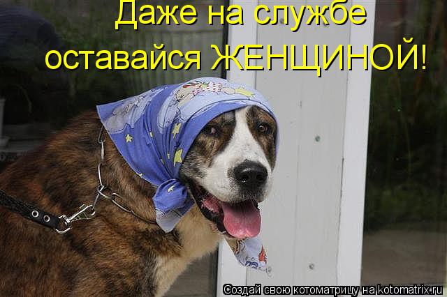 Даже на службе оставайся ЖЕНЩИНОЙ!... Котоматрица: Даже на службе оставайся ЖЕНЩИНОЙ!