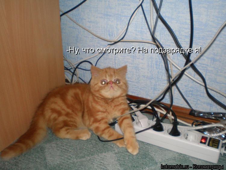 -Ну, что смотрите? На подзарядке я!... Котоматрица: -Ну, что смотрите? На подзарядке я!