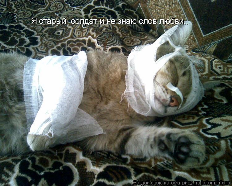 Я старый солдат и не знаю слов любви..... Котоматрица: Я старый солдат и не знаю слов любви..