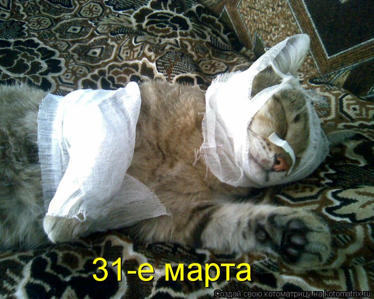 31-е марта... Котоматрица: 31-е марта