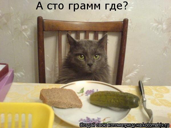 А сто грамм где?... Котоматрица: А сто грамм где?
