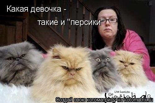 Какая девочка - такие и "персики"... Котоматрица: Какая девочка - такие и "персики"