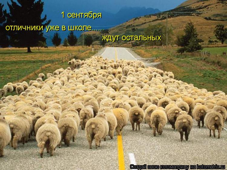 1 сентября отличники уже в школе...... ждут остальных... Котоматрица: 1 сентября отличники уже в школе...... ждут остальных