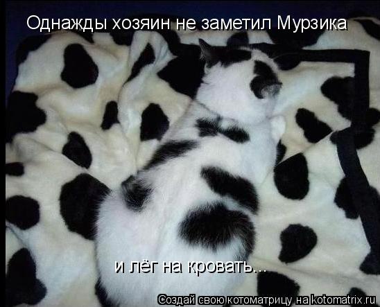 Однажды хозяин не заметил Мурзика и лёг на кровать...... Котоматрица: Однажды хозяин не заметил Мурзика и лёг на кровать...