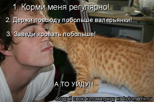 1. Корми меня регулярно! 2. Держи повсюду побольше валерьянки! 3. Заведи кровать побольше! А ТО УЙДУ!... Котоматрица: 1. Корми меня регулярно! 2. Держи повсюду побольше валерьянки! 3. Заведи кровать побольше! А ТО УЙДУ!!