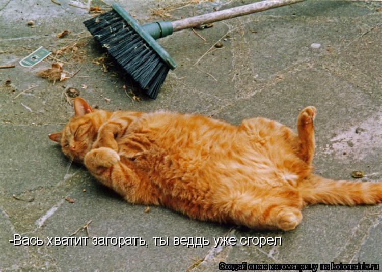 -Вась хватит загорать, ты веддь уже сгорел... Котоматрица: -Вась хватит загорать, ты веддь уже сгорел