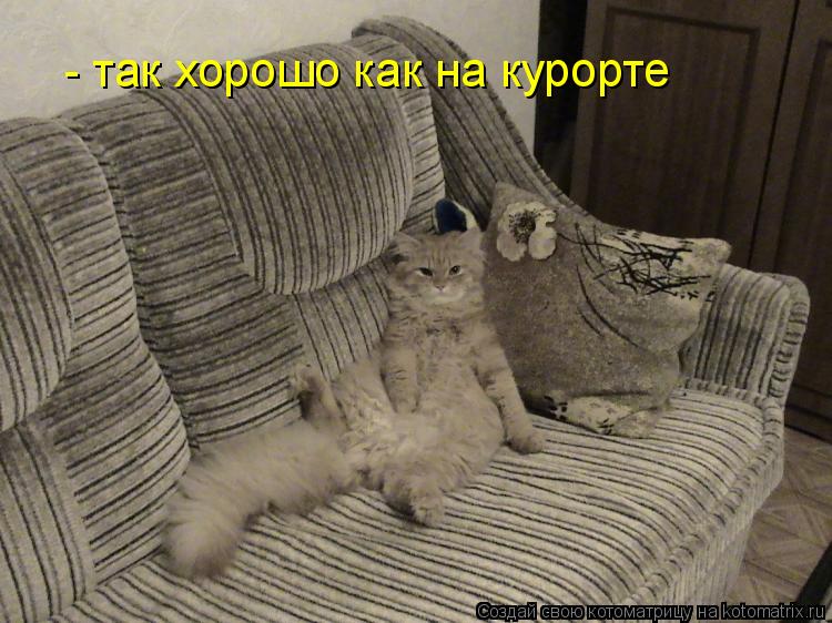 - так хорошо как на курорте... Котоматрица: - так хорошо как на курорте
