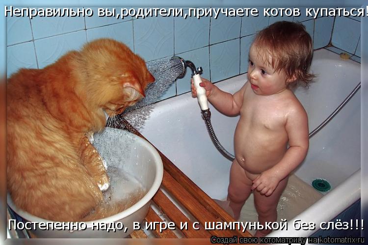 Я поеяла!!! Рыжик боить Неправильно вы,родители,приучаете котов купаться! Постепенно надо, в игре и с... Котоматрица: Я поеяла!!! Рыжик боить Неправильно вы,родители,приучаете котов купаться! Постепенно надо, в игре и с шампунькой без слёз!!!