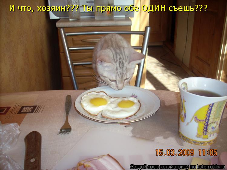 Котоматрица: И что, хозяин??? Ты прямо обе ОДИН съешь???