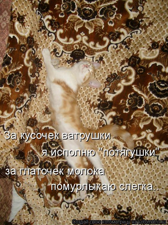Котоматрица: За кусочек ватрушки  я исполню "потягушки" за глаточек молока помурлыкаю слегка..