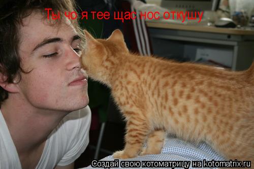 Котоматрица: Ты чо я тее щас нос откушу