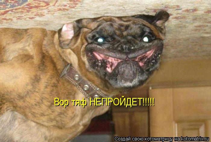 Котоматрица: Вор тяф НЕПРОЙДЕТ!!!!!