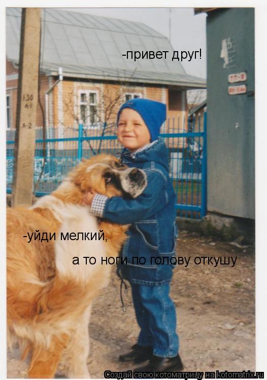 Котоматрица: -привет друг! -уйди мелкий,  а то ноги по голову откушу