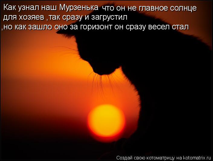Как узнал наш Мурзенька что он не главное солнце для хозяев ,так сразу и загрустил ,но как зашло оно... Котоматрица: Как узнал наш Мурзенька что он не главное солнце для хозяев ,так сразу и загрустил ,но как зашло оно за горизонт он сразу весел стал