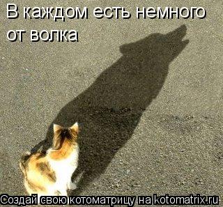 В каждом есть немного от волка... Котоматрица: В каждом есть немного от волка
