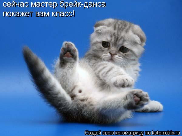 сейчас мастер брейк-данса покажет вам класс!... Котоматрица: сейчас мастер брейк-данса покажет вам класс!
