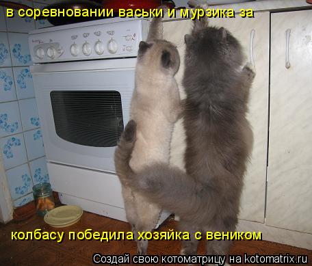 в соревновании васьки и мурзика за колбасу победила хозяйка с веником... Котоматрица: в соревновании васьки и мурзика за колбасу победила хозяйка с веником