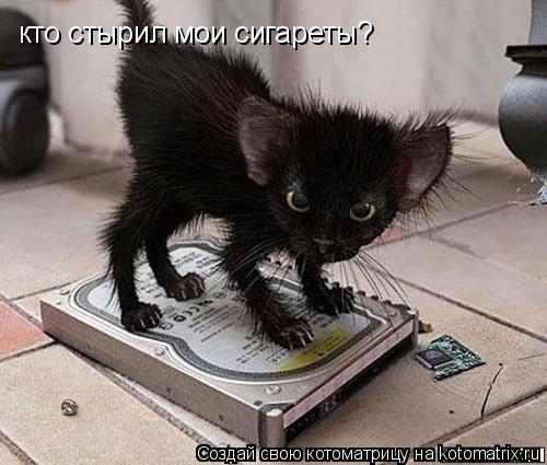 кто стырил мои сигареты?... Котоматрица: кто стырил мои сигареты?