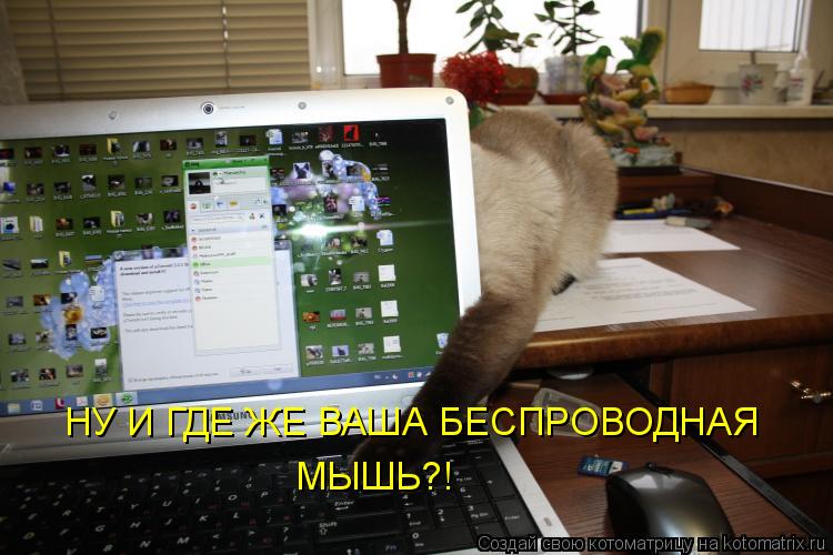 НУ И ГДЕ ЖЕ ВАША БЕСПРОВОДНАЯ МЫШЬ?!... Котоматрица: НУ И ГДЕ ЖЕ ВАША БЕСПРОВОДНАЯ МЫШЬ?!