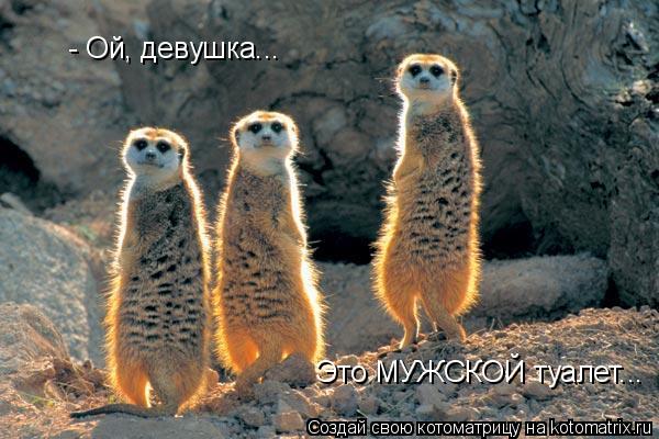 - Ой, девушка... Это МУЖСКОЙ туалет...... Котоматрица: - Ой, девушка... Это МУЖСКОЙ туалет...
