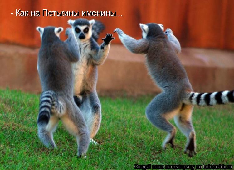 - Как на Петькины именины...... Котоматрица: - Как на Петькины именины...