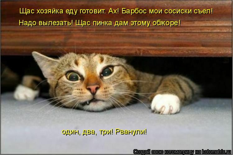 Щас хозяйка еду готовит. Ах! Барбос мои сосиски съел! Надо вылезать! Щас пинка дам этому обжоре! од... Котоматрица: Щас хозяйка еду готовит. Ах! Барбос мои сосиски съел! Надо вылезать! Щас пинка дам этому обжоре! один, два, три! Рванули!