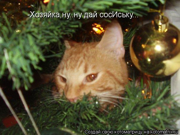 -Хозяйка,ну..ну дай сосИську...... Котоматрица: -Хозяйка,ну..ну дай сосИську...