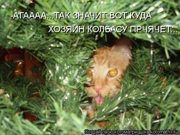 -АГАААА...ТАК ЗНАЧИТ ВОТ КУДА ХОЗЯИН КОЛБАСУ ПРЧЯЧЕТ...... Котоматрица: -АГАААА...ТАК ЗНАЧИТ ВОТ КУДА ХОЗЯИН КОЛБАСУ ПРЧЯЧЕТ...