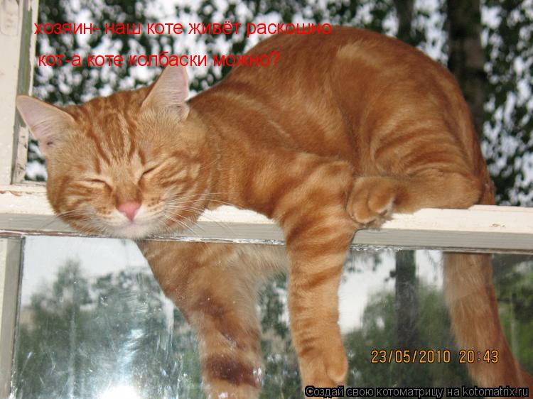 хозяин- наш коте живёт раскошно кот-а коте колбаски можно?... Котоматрица: хозяин- наш коте живёт раскошно кот-а коте колбаски можно?