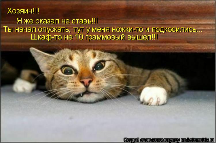 Хозяин!!! Я же сказал не ставь!!! Ты начал опускать, тут у меня ножки-то и подкосились... Шкаф-то не... Котоматрица: Хозяин!!! Я же сказал не ставь!!! Ты начал опускать, тут у меня ножки-то и подкосились... Шкаф-то не 10 граммовый вышел!!!