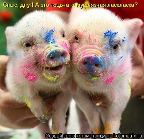 Слыс, длуг! А это тоцьна камуфлязная ласкласка?... Котоматрица: Слыс, длуг! А это тоцьна камуфлязная ласкласка?